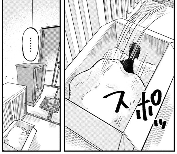 スポッ