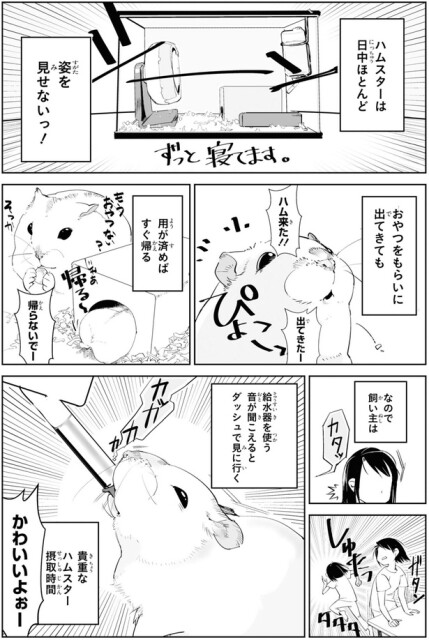 貴重なハムスター摂取時間