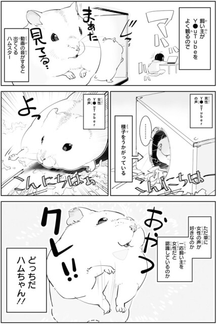 どっちだハムちゃん！！