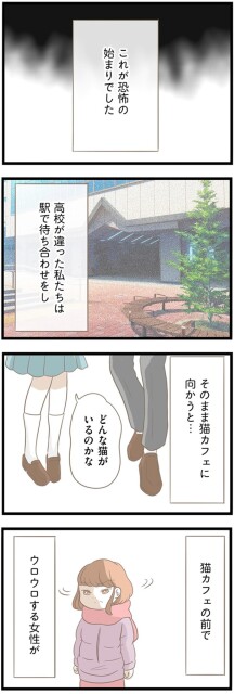 どんな猫がいるのかな