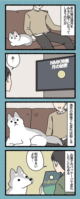 お菓子のパッケージで変化したこともある