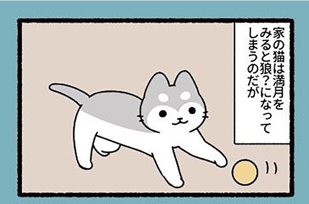 基準がゆるすぎ！ 「満月」を見るとすぐ狼に変身しちゃうねこもんすたーの日常