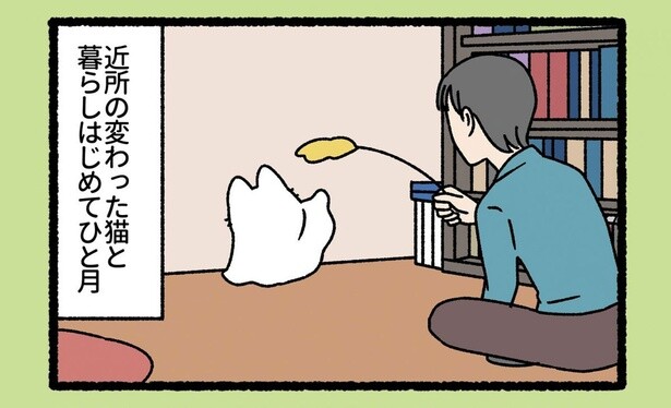 飼い主あるある？ 近所の「変わったねこ」と暮らし始めてひと月で確信したこと