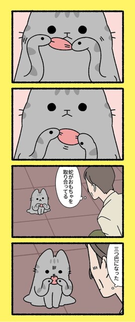 蛇がおもちゃを取り合ってる