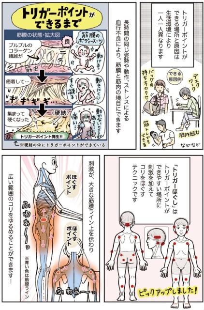 筋膜と筋肉の境目にできます