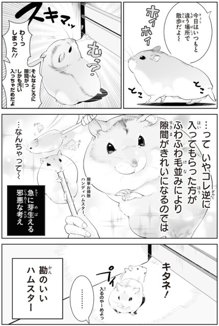 勘のいいハムスター