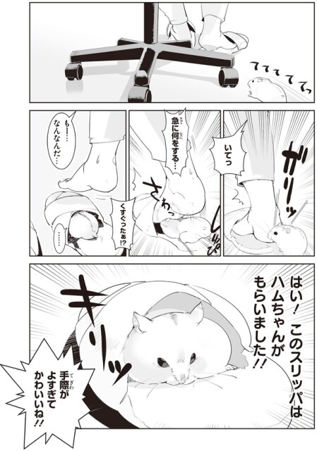 手際がよすぎてかわいいね！！