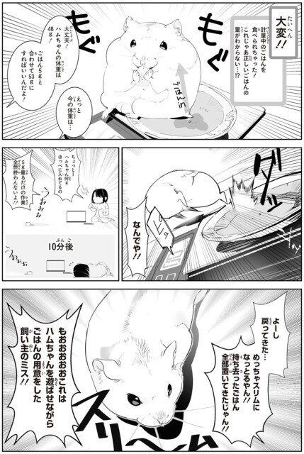 なんでや！！