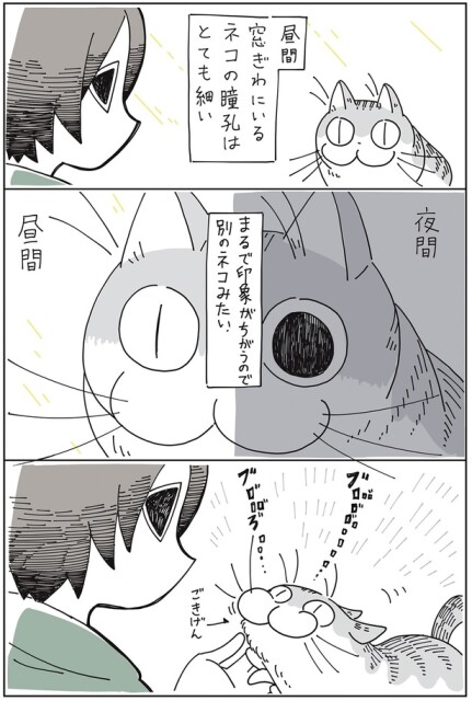 別のネコみたい