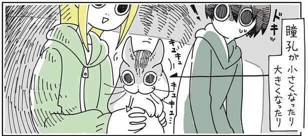 瞳孔が小さくなったり大きくなったり