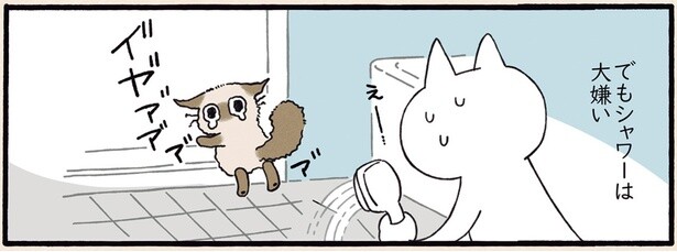 シャワーは大嫌い