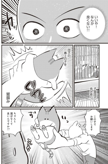 子猫団子に歩み寄り…