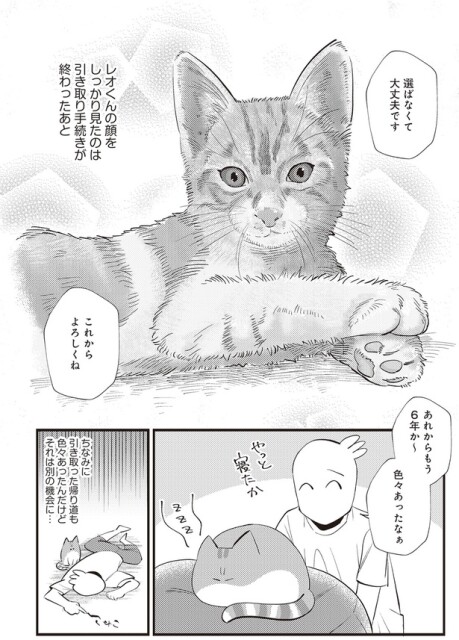 これからよろしくね