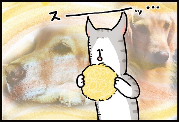 この毛玉のニオイ…