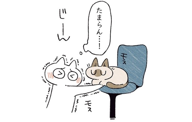 前足の隙間…たまらん…