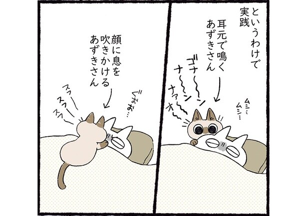 秘策実行！