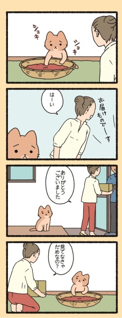 見てなきゃだめなの？