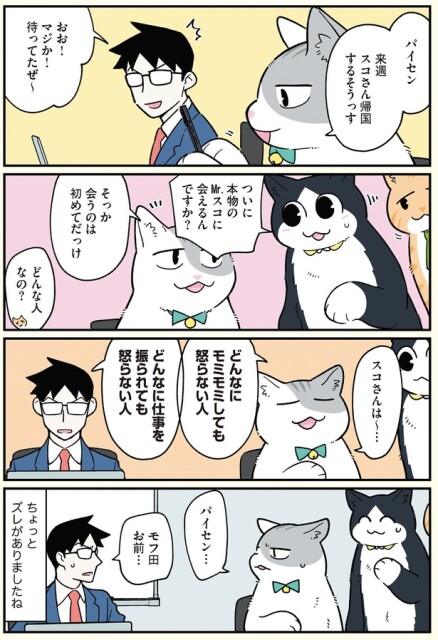 来週スコさん帰国するそうっす