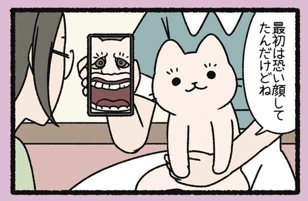 野良から室内ねこになったから？ 顔が変わりすぎるねこようかい「うわん」