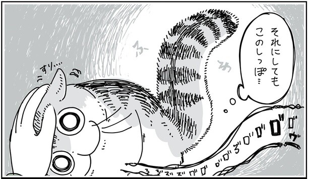 このしっぽ…