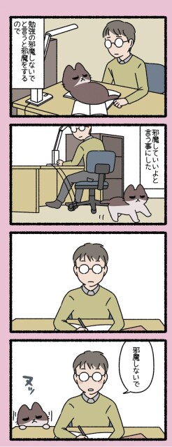 邪魔しないで