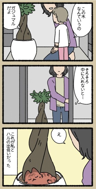 え…