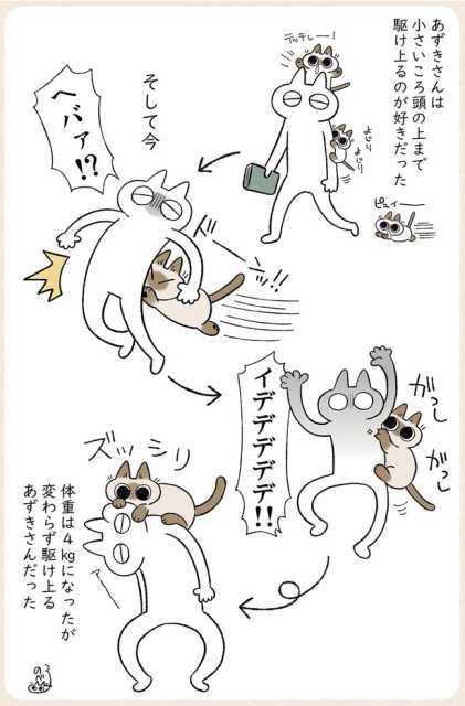 イデデデデデ！！