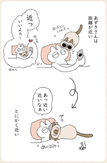 近い近いなぁ