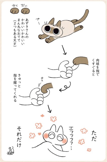肉球を指でくすぐると