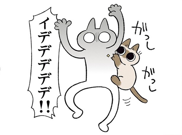 変わらず駆け上がる