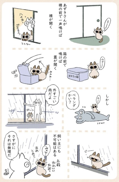 必殺かわいいかおっ
