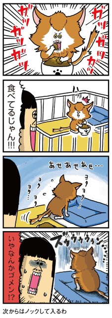 なんかゴメン！？