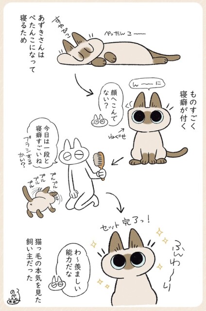 猫っ毛の本気