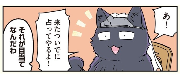 来たついでに占ってやるよ！