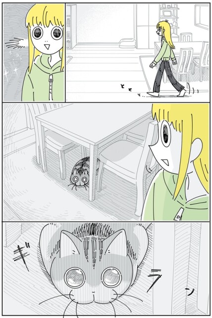 飛びつこうとしてるネコ