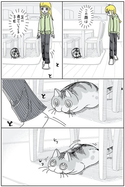 この顔は