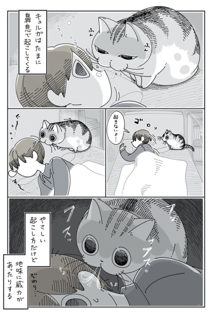 地味に威力があったりする