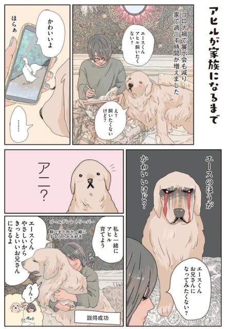 エースのほうがかわいいけど？
