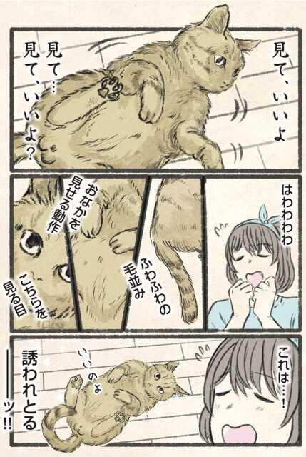 これは…！