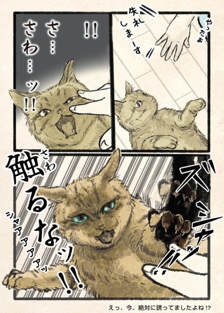 触るなッ！！