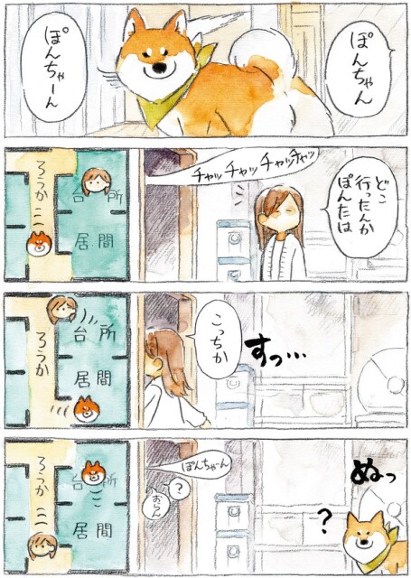 どこ行ったんか