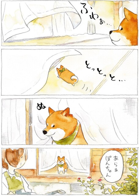 舞い踊る風