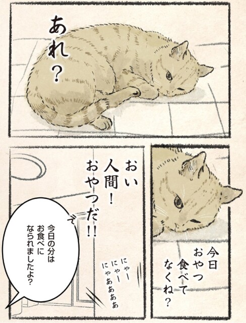 今日おやつ食べてなくね？