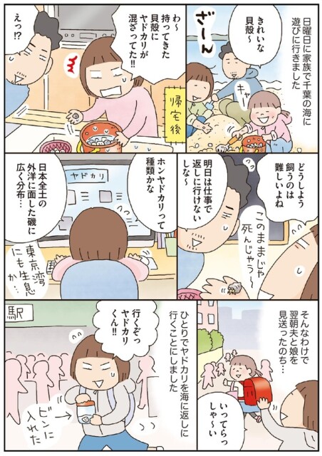 行くぞっヤドカリくん！！