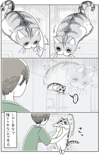 しかし自分で降りられない