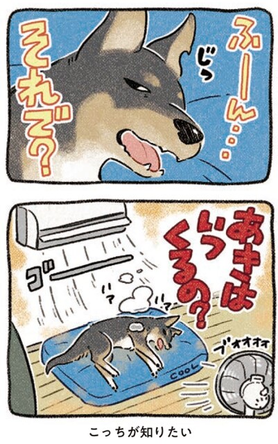 こっちが知りたい…