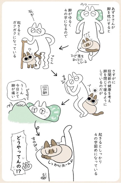 起きるとしっかり4の字固めになっている