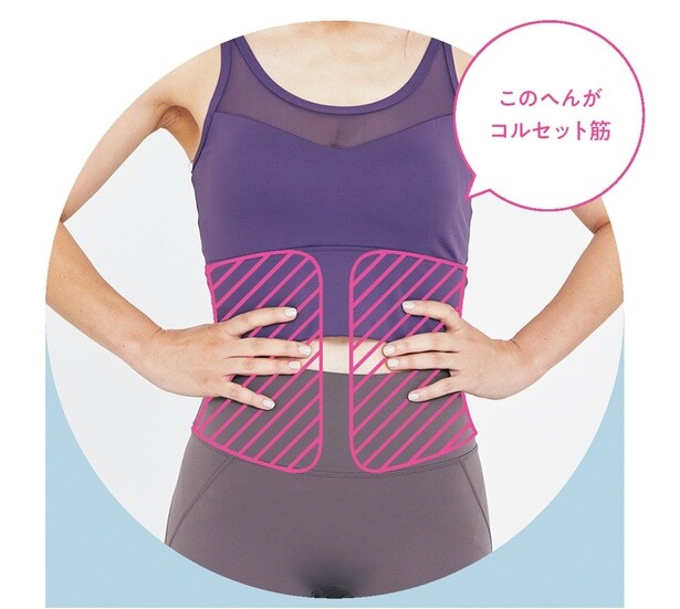 コルセット筋
