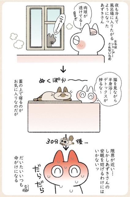 だいたいいつも命がけになる