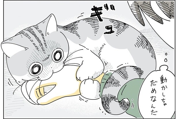 振りほどけない